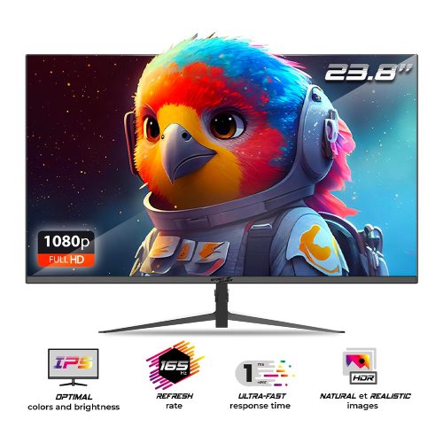 24" Spirit of Gamer EPIC LCD monitor (SOG-E24I165)